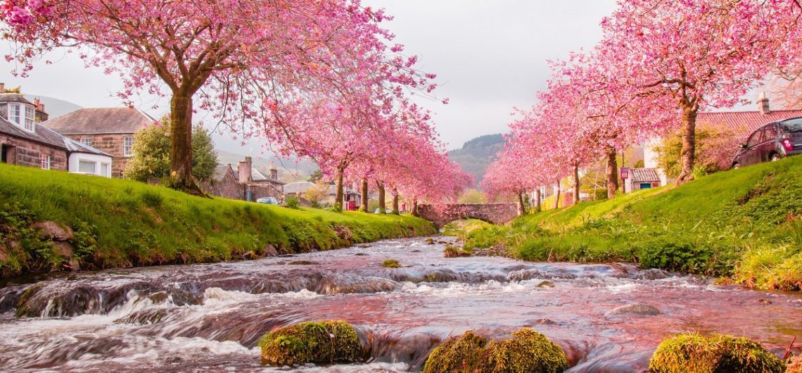 vẻ đẹp thiên nhiên qua bốn mùa tại Nhật Bản