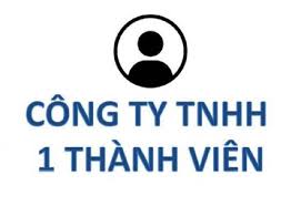 Công ty một thành viên trong tiếng Trung - Visadep.vn